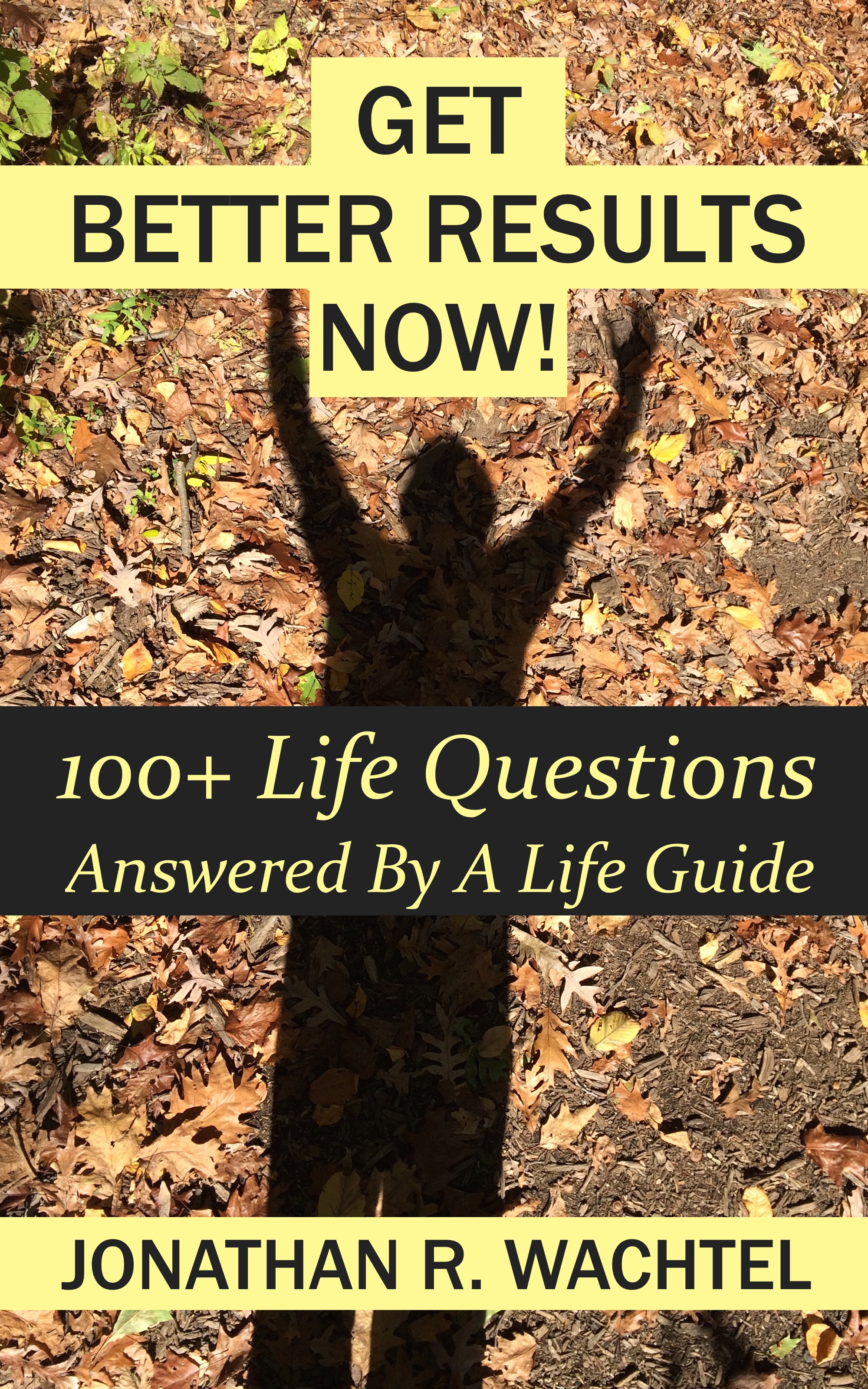 Get Better Results Now!: 100+ Life Questions Answered By A Life Guide, ebook of life answers from life coaching and life consulting, relationship coaching and relationship consulting, career coaching and career consulting, business coaching and business consulting, marketing coaching and marketing consulting, SEO specialization and SEO consulting, health coaching and health consulting, success coaching and success consulting, law of attraction coaching and law of attraction consulting, and more, in South Windsor, CT, Hartford County, Connecticut, CT, Wapping, CT, Windsor, CT, East Windsor, CT, Windsor Locks, CT, Manchester, CT, Vernon, CT, West Hartford, CT, East Hartford, CT, Hartford, CT, Glastonbury, CT, Farmington, CT, Bloomfield, CT, Ellington, CT, Bolton, CT, Somers, CT, Enfield, CT, Suffield, CT, Tolland, CT, Willington, CT, Stafford, CT, Granby, CT, Addison, CT, Wethersfield, CT, Newington, CT, Simsbury, CT, Avon, CT, East Granby, CT, Canton, CT, Marlborough, CT, Rocky Hill, CT, Cromwell, CT, Andover, CT, Coventry, CT, New Britain, CT, Berlin, CT, Kensington, CT, East Hampton, CT, Portland, CT, Middletown, CT, Middlefield, CT, Hebron, CT, Columbia, CT, Mansfield, CT, Colchester, CT, Lebanon, CT, Windham, CT, Chaplin, CT, Hampton, CT, Ashford, CT, Eastford, CT, Union, CT, Hartland, CT, Barkhamsted, CT, Southington, CT, Bristol, CT, Meriden, CT, Cheshire, CT, Durham, CT, Wallingford, CT, Northford, CT, Hamden, CT, Bozrah, CT, Sprague, CT, Lisbon, CT, Salem, CT, East Haddam, CT, Chester, CT, Lyme, CT, Essex, CT, Montville, CT, Norwich, CT, Preston, CT, Ledyard, CT, New London, CT, Lisbon, CT, Plainfield, CT, Brooklyn, CT, Pomfret, CT, Woodstock, CT, Putnam, CT, Killingly, CT, Sterling, CT, North Stonington, CT, Stonington, CT, East Lyme, CT, Old Lyme, CT, Old Saybrook, CT, Madison, CT, Guilford, CT, North Branford, CT, Branford, CT, New Haven, CT, West Haven, CT, Wolcott, CT, Waterbury, CT, Naugatuck, CT, Middlebury, CT, Woodbury, CT, Watertown, CT, Thomaston, CT, Burlington, CT, Harwinton, CT, Torrington, CT,  New Hartford, CT, Winchester, CT, Colebrook, CT, Norfolk, CT, Goshen, CT, Litchfield, CT, Morris, CT, Bethlehem, CT, Southbury, CT, Cornwall, CT, Warren, CT, Canaan, CT, North Canaan, CT, Salisbury, CT, Sharon, CT, Kent, CT, Roxbury, CT, New Milford, CT, Brookfield, CT, Fairfield, CT, Newtown, CT, Monroe, CT, Shelton, CT, Milford, CT, Trumbull, CT, Bridgeport, CT, Bethel, CT, Redding, CT, Danbury, CT, New Fairfield, CT, Ridgefield, CT, Wilton, CT, Westport, CT, Norwalk, CT, New Canaan, CT, Darien, CT, Stamford, CT, Greenwich, CT, Agawam, MA, East Longmeadow, MA, Springfield, MA, Southwick, MA, Granville, MA, Tolland, MA, Westfield, MA, Chicopee, MA, Wilbraham, MA, Ludlow, MA, Monson, MA, Wales, MA, Holland, MA, Brimfield, MA, Palmer, MA, Ludlow, MA, Holyoke, MA, Russell, MA, Blandford, MA, formerly in Kew Gardens, Queens, New York City, New York, NY, near the Upper East Side of Manhattan, near Chelsea, NY, near Westchester, NY, near the Hamptons, on Long Island, NY, serving South Windsor, CT, Hartford County, Connecticut, CT, Wapping, CT, Windsor, CT, East Windsor, CT, Windsor Locks, CT, Manchester, CT, Vernon, CT, West Hartford, CT, East Hartford, CT, Hartford, CT, Glastonbury, CT, Farmington, CT, Bloomfield, CT, Ellington, CT, Bolton, CT, Somers, CT, Enfield, CT, Suffield, CT, Tolland, CT, Willington, CT, Stafford, CT, Granby, CT, Addison, CT, Wethersfield, CT, Newington, CT, Simsbury, CT, Avon, CT, East Granby, CT, Canton, CT, Marlborough, CT, Rocky Hill, CT, Cromwell, CT, Andover, CT, Coventry, CT, New Britain, CT, Berlin, CT, Kensington, CT, East Hampton, CT, Portland, CT, Middletown, CT, Middlefield, CT, Hebron, CT, Columbia, CT, Mansfield, CT, Colchester, CT, Lebanon, CT, Windham, CT, Chaplin, CT, Hampton, CT, Ashford, CT, Eastford, CT, Union, CT, Hartland, CT, Barkhamsted, CT, Southington, CT, Bristol, CT, Meriden, CT, Cheshire, CT, Durham, CT, Wallingford, CT, Northford, CT, Hamden, CT, Bozrah, CT, Sprague, CT, Lisbon, CT, Salem, CT, East Haddam, CT, Chester, CT, Lyme, CT, Essex, CT, Montville, CT, Norwich, CT, Preston, CT, Ledyard, CT, New London, CT, Lisbon, CT, Plainfield, CT, Brooklyn, CT, Pomfret, CT, Woodstock, CT, Putnam, CT, Killingly, CT, Sterling, CT, North Stonington, CT, Stonington, CT, East Lyme, CT, Old Lyme, CT, Old Saybrook, CT, Madison, CT, Guilford, CT, North Branford, CT, Branford, CT, New Haven, CT, West Haven, CT, Wolcott, CT, Waterbury, CT, Naugatuck, CT, Middlebury, CT, Woodbury, CT, Watertown, CT, Thomaston, CT, Burlington, CT, Harwinton, CT, Torrington, CT,  New Hartford, CT, Winchester, CT, Colebrook, CT, Norfolk, CT, Goshen, CT, Litchfield, CT, Morris, CT, Bethlehem, CT, Southbury, CT, Cornwall, CT, Warren, CT, Canaan, CT, North Canaan, CT, Salisbury, CT, Sharon, CT, Kent, CT, Roxbury, CT, New Milford, CT, Brookfield, CT, Fairfield, CT, Newtown, CT, Monroe, CT, Shelton, CT, Milford, CT, Trumbull, CT, Bridgeport, CT, Bethel, CT, Redding, CT, Danbury, CT, New Fairfield, CT, Ridgefield, CT, Wilton, CT, Westport, CT, Norwalk, CT, New Canaan, CT, Darien, CT, Stamford, CT, Greenwich, CT, Agawam, MA, East Longmeadow, MA, Springfield, MA, Southwick, MA, Granville, MA, Tolland, MA, Westfield, MA, Chicopee, MA, Wilbraham, MA, Ludlow, MA, Monson, MA, Wales, MA, Holland, MA, Brimfield, MA, Palmer, MA, Ludlow, MA, Holyoke, MA, Russell, MA, Blandford, MA, and also Kew Gardens, NY, Forest Hills, NY, Forest Hills Gardens, NY, Kew Garden Hills, NY, all of Queens, NY, Brooklyn, NY, Manhattan, NY, Nassau County, Long Island, NY, Suffolk County, Long Island, NY, Staten Island, the Bronx, all of New York State, Connecticut, Massachusetts, and surrounding areas, and over the phone and online all over the world, by South Windsor, Hartford County, Connecticut, CT life coach and life consultant, relationship coach and relationship consultant, career coach and career consultant, business coach and business consultant, marketing coach and marketing consultant, SEO expert and SEO consultant, health coach and health consultant, success coach and success consultant, law of attraction coach and law of attraction consultant, international speaker and best-selling author and Kew Gardens, Queens, New York City, New York, NY life coach and life consultant, relationship coach and relationship consultant, career coach and career consultant, business coach and business consultant, marketing coach and marketing consultant, SEO expert and SEO consultant, health coach and health consultant, success coach and success consultant, law of attraction coach and law of attraction consultant, international speaker and best-selling author Jonathan R. Wachtel in South Windsor, CT, Hartford County, Connecticut, CT, Wapping, CT, near Windsor, CT, East Windsor, CT, Windsor Locks, CT, Manchester, CT, Vernon, CT, West Hartford, CT, East Hartford, CT, Hartford, CT, Glastonbury, CT, Farmington, CT, Bloomfield, CT, Ellington, CT, Bolton, CT, Somers, CT, Enfield, CT, Suffield, CT, Tolland, CT, Willington, CT, Stafford, CT, Granby, CT, Addison, CT, Wethersfield, CT, Newington, CT, Simsbury, CT, Avon, CT, East Granby, CT, Canton, CT, Marlborough, CT, Rocky Hill, CT, Cromwell, CT, Andover, CT, Coventry, CT, New Britain, CT, Berlin, CT, Kensington, CT, East Hampton, CT, Portland, CT, Middletown, CT, Middlefield, CT, Hebron, CT, Columbia, CT, Mansfield, CT, Colchester, CT, Lebanon, CT, Windham, CT, Chaplin, CT, Hampton, CT, Ashford, CT, Eastford, CT, Union, CT, Hartland, CT, Barkhamsted, CT, Southington, CT, Bristol, CT, Meriden, CT, Cheshire, CT, Durham, CT, Wallingford, CT, Northford, CT, Hamden, CT, Bozrah, CT, Sprague, CT, Lisbon, CT, Salem, CT, East Haddam, CT, Chester, CT, Lyme, CT, Essex, CT, Montville, CT, Norwich, CT, Preston, CT, Ledyard, CT, New London, CT, Lisbon, CT, Plainfield, CT, Brooklyn, CT, Pomfret, CT, Woodstock, CT, Putnam, CT, Killingly, CT, Sterling, CT, North Stonington, CT, Stonington, CT, East Lyme, CT, Old Lyme, CT, Old Saybrook, CT, Madison, CT, Guilford, CT, North Branford, CT, Branford, CT, New Haven, CT, West Haven, CT, Wolcott, CT, Waterbury, CT, Naugatuck, CT, Middlebury, CT, Woodbury, CT, Watertown, CT, Thomaston, CT, Burlington, CT, Harwinton, CT, Torrington, CT,  New Hartford, CT, Winchester, CT, Colebrook, CT, Norfolk, CT, Goshen, CT, Litchfield, CT, Morris, CT, Bethlehem, CT, Southbury, CT, Cornwall, CT, Warren, CT, Canaan, CT, North Canaan, CT, Salisbury, CT, Sharon, CT, Kent, CT, Roxbury, CT, New Milford, CT, Brookfield, CT, Fairfield, CT, Newtown, CT, Monroe, CT, Shelton, CT, Milford, CT, Trumbull, CT, Bridgeport, CT, Bethel, CT, Redding, CT, Danbury, CT, New Fairfield, CT, Ridgefield, CT, Wilton, CT, Westport, CT, Norwalk, CT, New Canaan, CT, Darien, CT, Stamford, CT, Greenwich, CT, Agawam, MA, East Longmeadow, MA, Springfield, MA, Southwick, MA, Granville, MA, Tolland, MA, Westfield, MA, Chicopee, MA, Wilbraham, MA, Ludlow, MA, Monson, MA, Wales, MA, Holland, MA, Brimfield, MA, Palmer, MA, Ludlow, MA, Holyoke, MA, Russell, MA, Blandford, MA, formerly in Kew Gardens, Queens, New York City, New York, NY, near the Upper East Side of Manhattan, near Chelsea, NY, near Westchester, NY, near the Hamptons, on Long Island, NY, serving South Windsor, CT, Hartford County, Connecticut, CT, Wapping, CT, Windsor, CT, East Windsor, CT, Windsor Locks, CT, Manchester, CT, Vernon, CT, West Hartford, CT, East Hartford, CT, Hartford, CT, Glastonbury, CT, Farmington, CT, Bloomfield, CT, Ellington, CT, Bolton, CT, Somers, CT, Enfield, CT, Suffield, CT, Tolland, CT, Willington, CT, Stafford, CT, Granby, CT, Addison, CT, Wethersfield, CT, Newington, CT, Simsbury, CT, Avon, CT, East Granby, CT, Canton, CT, Marlborough, CT, Rocky Hill, CT, Cromwell, CT, Andover, CT, Coventry, CT, New Britain, CT, Berlin, CT, Kensington, CT, East Hampton, CT, Portland, CT, Middletown, CT, Middlefield, CT, Hebron, CT, Columbia, CT, Mansfield, CT, Colchester, CT, Lebanon, CT, Windham, CT, Chaplin, CT, Hampton, CT, Ashford, CT, Eastford, CT, Union, CT, Hartland, CT, Barkhamsted, CT, Southington, CT, Bristol, CT, Meriden, CT, Cheshire, CT, Durham, CT, Wallingford, CT, Northford, CT, Hamden, CT, Bozrah, CT, Sprague, CT, Lisbon, CT, Salem, CT, East Haddam, CT, Chester, CT, Lyme, CT, Essex, CT, Montville, CT, Norwich, CT, Preston, CT, Ledyard, CT, New London, CT, Lisbon, CT, Plainfield, CT, Brooklyn, CT, Pomfret, CT, Woodstock, CT, Putnam, CT, Killingly, CT, Sterling, CT, North Stonington, CT, Stonington, CT, East Lyme, CT, Old Lyme, CT, Old Saybrook, CT, Madison, CT, Guilford, CT, North Branford, CT, Branford, CT, New Haven, CT, West Haven, CT, Wolcott, CT, Waterbury, CT, Naugatuck, CT, Middlebury, CT, Woodbury, CT, Watertown, CT, Thomaston, CT, Burlington, CT, Harwinton, CT, Torrington, CT,  New Hartford, CT, Winchester, CT, Colebrook, CT, Norfolk, CT, Goshen, CT, Litchfield, CT, Morris, CT, Bethlehem, CT, Southbury, CT, Cornwall, CT, Warren, CT, Canaan, CT, North Canaan, CT, Salisbury, CT, Sharon, CT, Kent, CT, Roxbury, CT, New Milford, CT, Brookfield, CT, Fairfield, CT, Newtown, CT, Monroe, CT, Shelton, CT, Milford, CT, Trumbull, CT, Bridgeport, CT, Bethel, CT, Redding, CT, Danbury, CT, New Fairfield, CT, Ridgefield, CT, Wilton, CT, Westport, CT, Norwalk, CT, New Canaan, CT, Darien, CT, Stamford, CT, Greenwich, CT, Agawam, MA, East Longmeadow, MA, Springfield, MA, Southwick, MA, Granville, MA, Tolland, MA, Westfield, MA, Chicopee, MA, Wilbraham, MA, Ludlow, MA, Monson, MA, Wales, MA, Holland, MA, Brimfield, MA, Palmer, MA, Ludlow, MA, Holyoke, MA, Russell, MA, Blandford, MA, Kew Gardens, NY, Forest Hills, NY, Forest Hills Gardens, NY, Kew Garden Hills, NY, all of Queens, NY, Brooklyn, NY, Manhattan, NY, Nassau County, Long Island, NY, Suffolk County, Long Island, NY, Staten Island, the Bronx, all of New York State, Connecticut, Massachusetts, and surrounding areas, and everywhere over the phone and online. Seeking a psychologist, therapist, counselor, or coach in South Windsor, CT, Hartford County, Connecticut, CT, Wapping, CT, Windsor, CT, East Windsor, CT, Windsor Locks, CT, Manchester, CT, Vernon, CT, West Hartford, CT, East Hartford, CT, Hartford, CT, Glastonbury, CT, Farmington, CT, Bloomfield, CT, Ellington, CT, Bolton, CT, Somers, CT, Enfield, CT, Suffield, CT, Tolland, CT, Willington, CT, Stafford, CT, Granby, CT, Addison, CT, Wethersfield, CT, Newington, CT, Simsbury, CT, Avon, CT, East Granby, CT, Canton, CT, Marlborough, CT, Rocky Hill, CT, Cromwell, CT, Andover, CT, Coventry, CT, New Britain, CT, Berlin, CT, Kensington, CT, East Hampton, CT, Portland, CT, Middletown, CT, Middlefield, CT, Hebron, CT, Columbia, CT, Mansfield, CT, Colchester, CT, Lebanon, CT, Windham, CT, Chaplin, CT, Hampton, CT, Ashford, CT, Eastford, CT, Union, CT, Hartland, CT, Barkhamsted, CT, Southington, CT, Bristol, CT, Meriden, CT, Cheshire, CT, Durham, CT, Wallingford, CT, Northford, CT, Hamden, CT, Bozrah, CT, Sprague, CT, Lisbon, CT, Salem, CT, East Haddam, CT, Chester, CT, Lyme, CT, Essex, CT, Montville, CT, Norwich, CT, Preston, CT, Ledyard, CT, New London, CT, Lisbon, CT, Plainfield, CT, Brooklyn, CT, Pomfret, CT, Woodstock, CT, Putnam, CT, Killingly, CT, Sterling, CT, North Stonington, CT, Stonington, CT, East Lyme, CT, Old Lyme, CT, Old Saybrook, CT, Madison, CT, Guilford, CT, North Branford, CT, Branford, CT, New Haven, CT, West Haven, CT, Wolcott, CT, Waterbury, CT, Naugatuck, CT, Middlebury, CT, Woodbury, CT, Watertown, CT, Thomaston, CT, Burlington, CT, Harwinton, CT, Torrington, CT,  New Hartford, CT, Winchester, CT, Colebrook, CT, Norfolk, CT, Goshen, CT, Litchfield, CT, Morris, CT, Bethlehem, CT, Southbury, CT, Cornwall, CT, Warren, CT, Canaan, CT, North Canaan, CT, Salisbury, CT, Sharon, CT, Kent, CT, Roxbury, CT, New Milford, CT, Brookfield, CT, Fairfield, CT, Newtown, CT, Monroe, CT, Shelton, CT, Milford, CT, Trumbull, CT, Bridgeport, CT, Bethel, CT, Redding, CT, Danbury, CT, New Fairfield, CT, Ridgefield, CT, Wilton, CT, Westport, CT, Norwalk, CT, New Canaan, CT, Darien, CT, Stamford, CT, Greenwich, CT, Agawam, MA, East Longmeadow, MA, Springfield, MA, Southwick, MA, Granville, MA, Tolland, MA, Westfield, MA, Chicopee, MA, Wilbraham, MA, Ludlow, MA, Monson, MA, Wales, MA, Holland, MA, Brimfield, MA, Palmer, MA, Ludlow, MA, Holyoke, MA, Russell, MA, Blandford, MA, formerly in Kew Gardens, NY, near Forest Hills, NY, Forest Hills Gardens, NY, Kew Garden Hills, NY, Queens, NY, Brooklyn, NY, Manhattan, NY, Nassau County, Long Island, NY, Suffolk County, Long Island, NY, Staten Island, the Bronx, New York City, New York State, Connecticut, Massachusetts, or anywhere? If you’re seeking therapy, counseling, or coaching in South Windsor, CT, Hartford County, Connecticut, CT, Wapping, CT, Windsor, CT, East Windsor, CT, Windsor Locks, CT, Manchester, CT, Vernon, CT, West Hartford, CT, East Hartford, CT, Hartford, CT, Glastonbury, CT, Farmington, CT, Bloomfield, CT, Ellington, CT, Bolton, CT, Somers, CT, Enfield, CT, Suffield, CT, Tolland, CT, Willington, CT, Stafford, CT, Granby, CT, Addison, CT, Wethersfield, CT, Newington, CT, Simsbury, CT, Avon, CT, East Granby, CT, Canton, CT, Marlborough, CT, Rocky Hill, CT, Cromwell, CT, Andover, CT, Coventry, CT, New Britain, CT, Berlin, CT, Kensington, CT, East Hampton, CT, Portland, CT, Middletown, CT, Middlefield, CT, Hebron, CT, Columbia, CT, Mansfield, CT, Colchester, CT, Lebanon, CT, Windham, CT, Chaplin, CT, Hampton, CT, Ashford, CT, Eastford, CT, Union, CT, Hartland, CT, Barkhamsted, CT, Southington, CT, Bristol, CT, Meriden, CT, Cheshire, CT, Durham, CT, Wallingford, CT, Northford, CT, Hamden, CT, Bozrah, CT, Sprague, CT, Lisbon, CT, Salem, CT, East Haddam, CT, Chester, CT, Lyme, CT, Essex, CT, Montville, CT, Norwich, CT, Preston, CT, Ledyard, CT, New London, CT, Lisbon, CT, Plainfield, CT, Brooklyn, CT, Pomfret, CT, Woodstock, CT, Putnam, CT, Killingly, CT, Sterling, CT, North Stonington, CT, Stonington, CT, East Lyme, CT, Old Lyme, CT, Old Saybrook, CT, Madison, CT, Guilford, CT, North Branford, CT, Branford, CT, New Haven, CT, West Haven, CT, Wolcott, CT, Waterbury, CT, Naugatuck, CT, Middlebury, CT, Woodbury, CT, Watertown, CT, Thomaston, CT, Burlington, CT, Harwinton, CT, Torrington, CT,  New Hartford, CT, Winchester, CT, Colebrook, CT, Norfolk, CT, Goshen, CT, Litchfield, CT, Morris, CT, Bethlehem, CT, Southbury, CT, Cornwall, CT, Warren, CT, Canaan, CT, North Canaan, CT, Salisbury, CT, Sharon, CT, Kent, CT, Roxbury, CT, New Milford, CT, Brookfield, CT, Fairfield, CT, Newtown, CT, Monroe, CT, Shelton, CT, Milford, CT, Trumbull, CT, Bridgeport, CT, Bethel, CT, Redding, CT, Danbury, CT, New Fairfield, CT, Ridgefield, CT, Wilton, CT, Westport, CT, Norwalk, CT, New Canaan, CT, Darien, CT, Stamford, CT, Greenwich, CT, Agawam, MA, East Longmeadow, MA, Springfield, MA, Southwick, MA, Granville, MA, Tolland, MA, Westfield, MA, Chicopee, MA, Wilbraham, MA, Ludlow, MA, Monson, MA, Wales, MA, Holland, MA, Brimfield, MA, Palmer, MA, Ludlow, MA, Holyoke, MA, Russell, MA, Blandford, MA, formerly in Kew Gardens, NY, near Forest Hills, NY, Forest Hills Gardens, NY, Kew Garden Hills, NY, Queens, NY, Brooklyn, NY, Manhattan, NY, Nassau County, Long Island, NY, Suffolk County, Long Island, NY, Staten Island, the Bronx, New York City, New York State, Connecticut, Massachusetts, or surrounding areas, contact South Windsor, CT, Hartford County, Connecticut and New York Life Coach Jonathan.